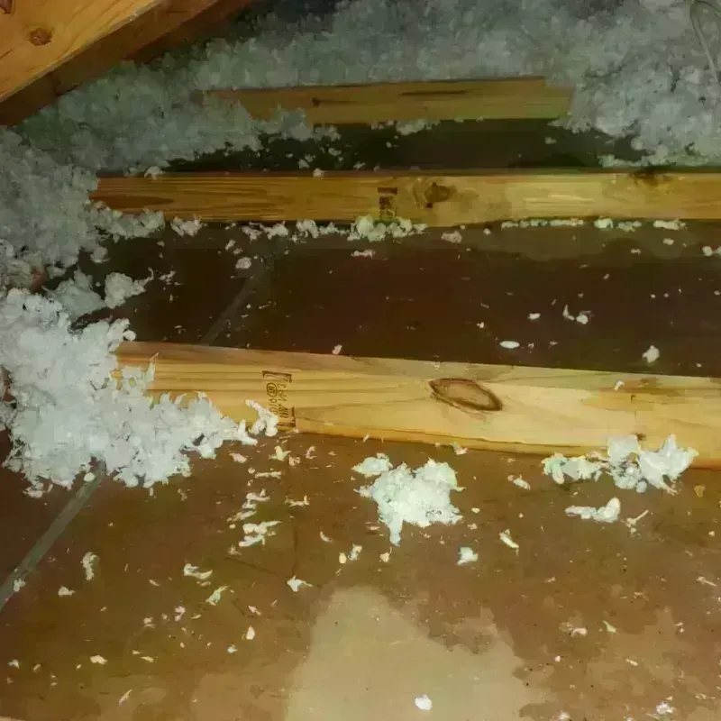 Attic Water Damage in Weston, MA