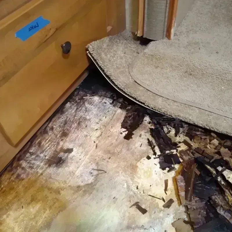 Best Wood Floor Water Damage Service in Weston, MA